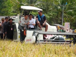 Jadi Lumbung Pangan Nasional, Tanto : Semua Harus Mendukung Peningkatan Produktivitas Padi