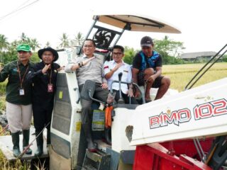 Kepala Ppmkp Kementan Ir. Yusral Tahir, M.agr Panen Raya Padi Nusantara Sejuta Hektar Di Kabupaten Pandeglang