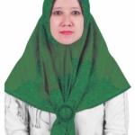 Dongkrak Perolehan Kursi Parlemen, Pkb Majalengka Usung Upik Rofiqoh Sebagai Caleg Dprd Jawa Barat