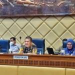 Anggota Komisi Ii Dpr : Kalimantan Selatan Sebagai Zona Lumbung Pangan Ikn