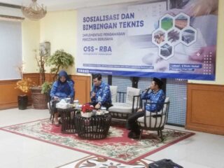 Dpmptsp Sosialisasikan Pengawasan Perizinan Berusaha Berbasis Resiko Melalui Sistem Online Single Submission Risk Based  Approach