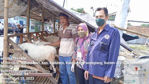 Menjelang Idul Adha 1444 H, Pemkab Pandeglang Gencarkan Pemeriksaan Kesehatan Hewan Kurban I Harian Terbit