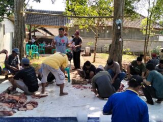Panitia Hewan Kurban Rw 02 Desa Bangkonol Sukses Distribusikan 1 Ekor Sapi &Amp; 7 Ekor Kambing