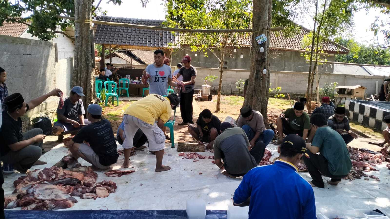 Panitia Hewan Kurban RW 02 Desa Bangkonol Sukses Distribusikan 1 Ekor Sapi & 7 Ekor Kambing