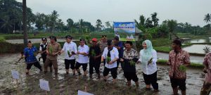 Kunker Mentan di Pandeglang Percepat Tanam Padi Antisipasi Dampak Iklim El-Nino I Harian Terbit