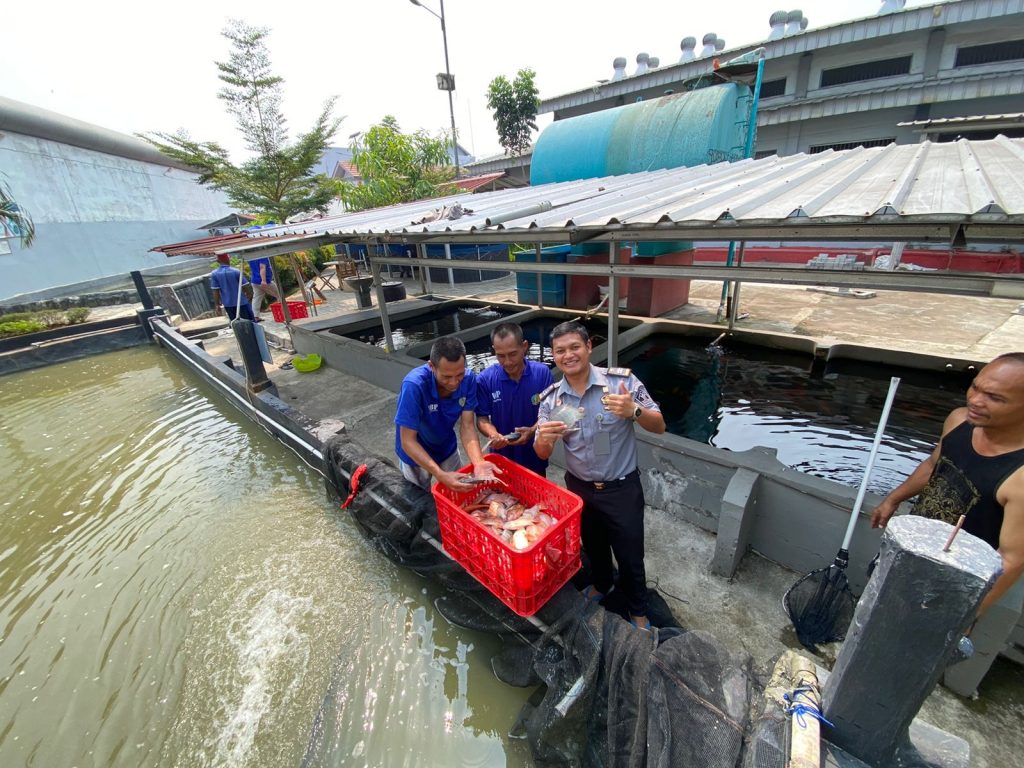 Mantul, Lapas Cikarang Panen Ikan Nila Hasil Budidaya Narapidana I Harian Terbit