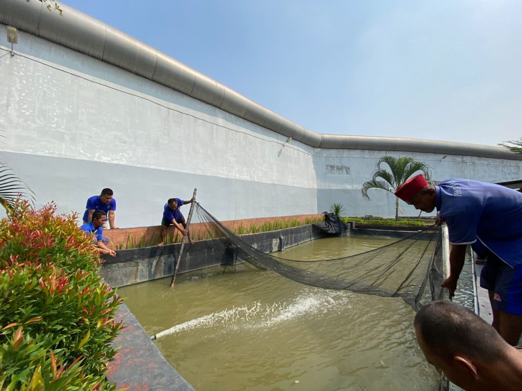 Mantul, Lapas Cikarang Panen Ikan Nila Hasil Budidaya Narapidana I Harian Terbit