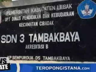 Istimewa, Sdn 3 Tambakbaya Laksanakan Aksi Sosial Galang Dana Peduli Palestina