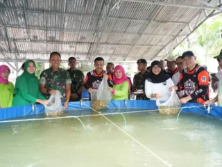 Jaga Ketahanan Pangan, Pemkot Jaktim Tanam Bibit Cabai Dan Tebar Benih Ikan Nila, Begini Pentingnya