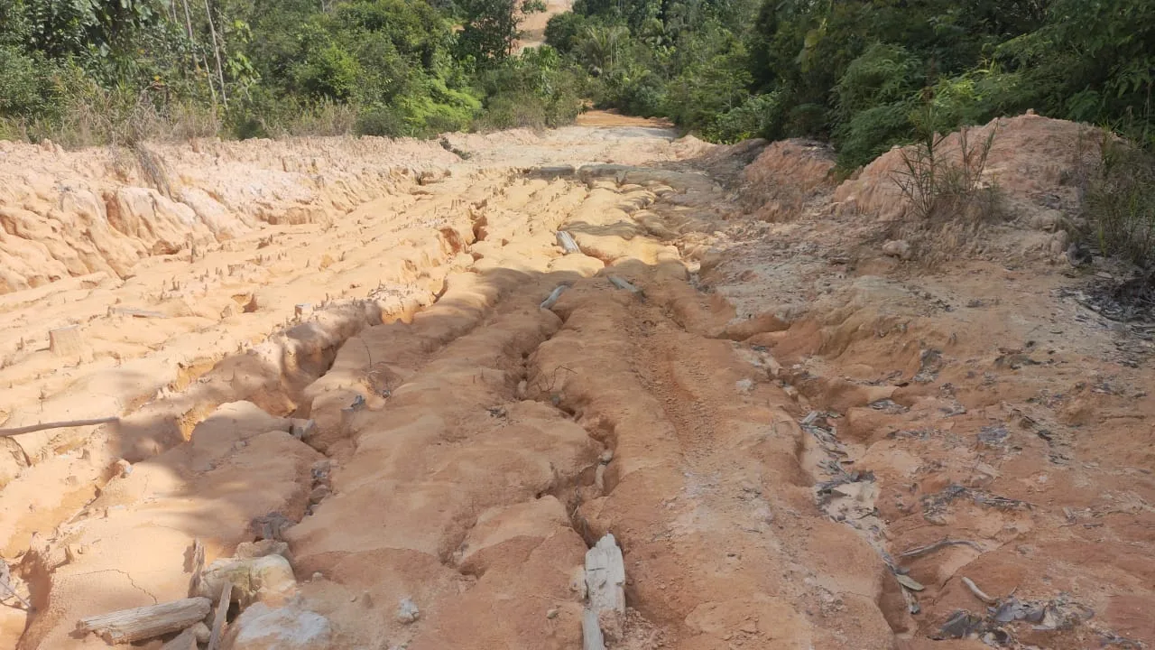 Sikat, Warga Desak Pemkab Barito Utara Segera Perbaiki Jalan Rusak yang Dibangun Perusda I Harian Terbit