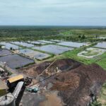 Cemari Lingkungan, Pt Golden Oilindo Nusantara Kena Sanksi Keras Dlhp Sumsel Meski Kantongi Pertek