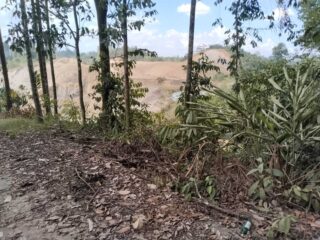 Pasca Investigasi Di Hutan Kota Tangap Kabupaten Berau, Direktur Ppsa Lhk Akan Menelusuri Legalitas Tambang