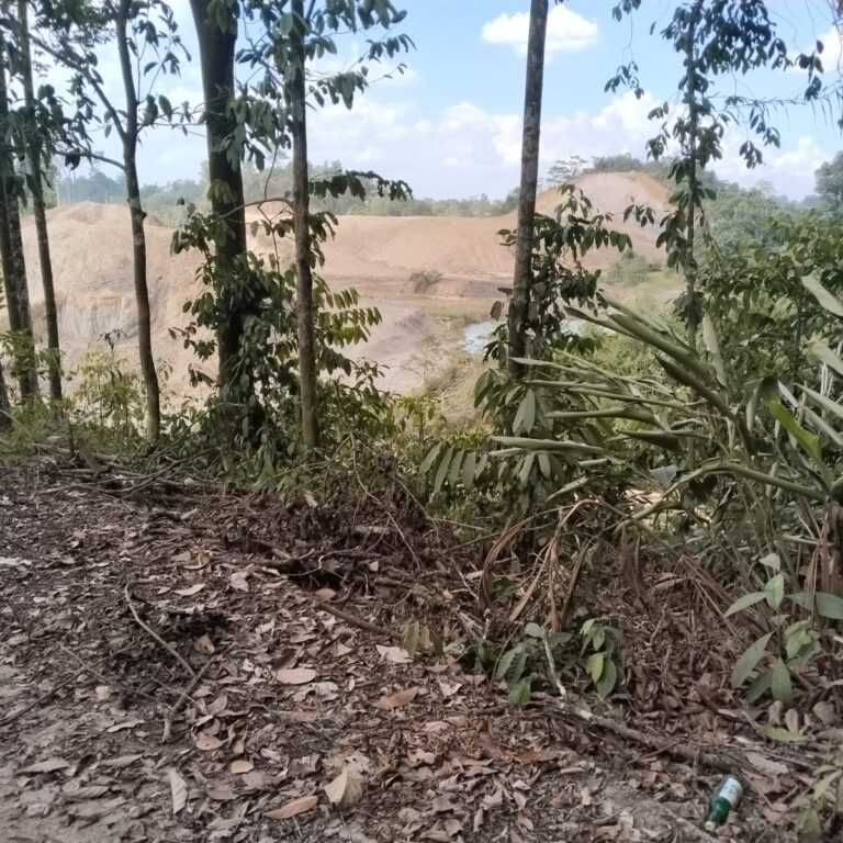 Pasca Investigasi di Hutan Kota Tangap Kabupaten Berau, Direktur PPSA LHK Akan Menelusuri Legalitas Tambang