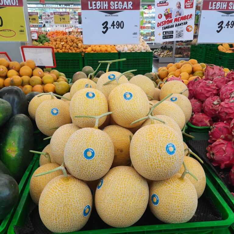 Melon Premium Milik Doa Bangsa Agrobisnis Mengembangkan Pasar Supermarket Cek Selengkapnya