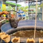 Pembinaan Pekarangan Ketahanan Pangan, Polisi Ajak Masyarakat Tingkatkan Produksi Pangan