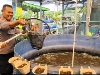 Pembinaan Pekarangan Ketahanan Pangan, Polisi Ajak Masyarakat Tingkatkan Produksi Pangan