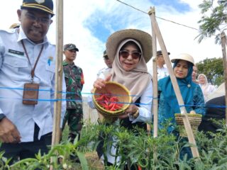 Smart Farming Iot Tingkatkan Produksi Hingga 30 Persen