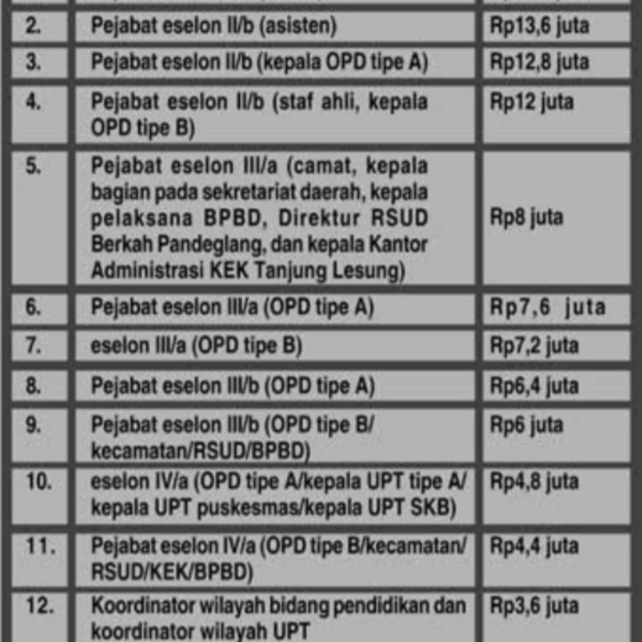 Wabup Pandeglang, Pastikan Thr Asn Diwilayahnya Cair Sebelum 28 Maret 2025.
