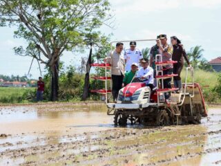 Kolaborasi Forkopimda Kuat, Gubernur Banten Andra Soni Optimis Provinsi Banten Swasembada Pangan