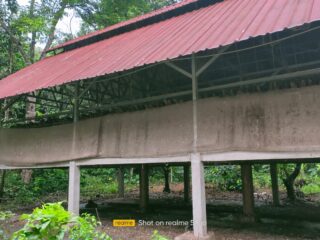 Polisi Diminta Periksa Dana Ketahanan Pangan Di Desa Cirendeu