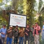 Satgas Segel 13.000 Ha Areal Di Kampar, Termasuk Konsesi Areal Yang Diduga Milik Pt Pspi