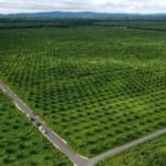 Ptpn Iv Regional V Kedepankan Musyawarah: Langkah Hukum Demi Jaga Aset Negara