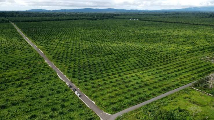 Ptpn Iv Regional V Kedepankan Musyawarah: Langkah Hukum Demi Jaga Aset Negara 1 Ptpn Iv Regional V Kedepankan Musyawarah: Langkah Hukum Demi Jaga Aset Negara