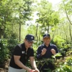 Bumn Apresiasi Turn Around Kopi Ptpn Di Kawasan Ijen