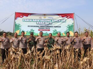 Polres Lebak Polda Banten Fasilitator Dalam Program Jagung Di Kecamatan Maja
