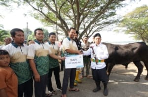 Rayakan Idul Adha, Pln Indonesia Power Ubp Lontar Bagikan Hewan Kurban Kepada Masyarakat 1 Rayakan Idul Adha, Pln Indonesia Power Ubp Lontar Bagikan Hewan Kurban Kepada Masyarakat