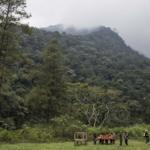 Dua Pendaki Remaja Jatuh Ke Jurang Gunung Puntang