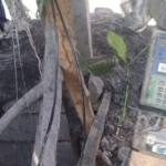 Gawat, Diduga Pln Suplai Listrik Ke Tambang Batubara Ilegal Di Cobobos