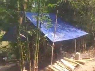 Nekat, Perhutani Cibobos Diduga Didobrak Pengusaha Tambang Batubara Ilegal