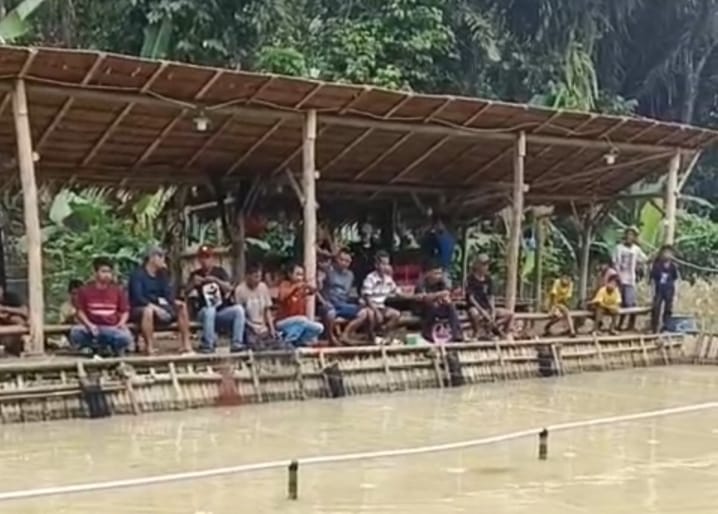 Silahkan Berkunjung Ke Pemancingan Ikan Lele Di Kampung Kanaga Popojok 1 Silahkan Berkunjung Ke Pemancingan Ikan Lele Di Kampung Kanaga Popojok