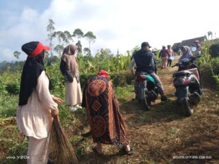 Tanitanda: Mahasiswa Fbd Dukung Identitas Resmi Kelompok Tani Sidomakmur 1 Di Pakiskembar