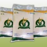 Viral Di Medsos, Pembagian Bansos Beras Di Desa Margawangi Di Keluhkan Warga