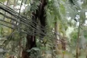 Rpm Dan Pkn Sebut Pln Malingping Jangan Banyak Ngelucu 7 Rpm Dan Pkn Sebut Pln Malingping Jangan Banyak Ngelucu