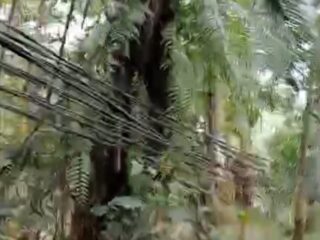 Rpm Dan Pkn Sebut Pln Malingping Jangan Banyak Ngelucu