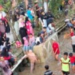 Ketahanan Nasional Desa Cibalok: Proyek Sosial Penaburan 100.000 Benih Ikan Di Sungai Cibalok