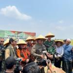 Bangun Program Ketahanan Pangan, Mpw Pemuda Pancasila Banten Panen Raya Padi