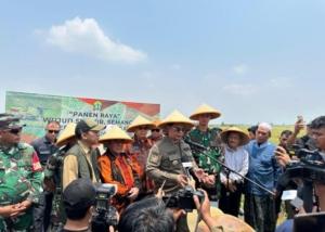 Bangun Program Ketahanan Pangan, Mpw Pemuda Pancasila Banten Panen Raya Padi 1 Bangun Program Ketahanan Pangan, Mpw Pemuda Pancasila Banten Panen Raya Padi