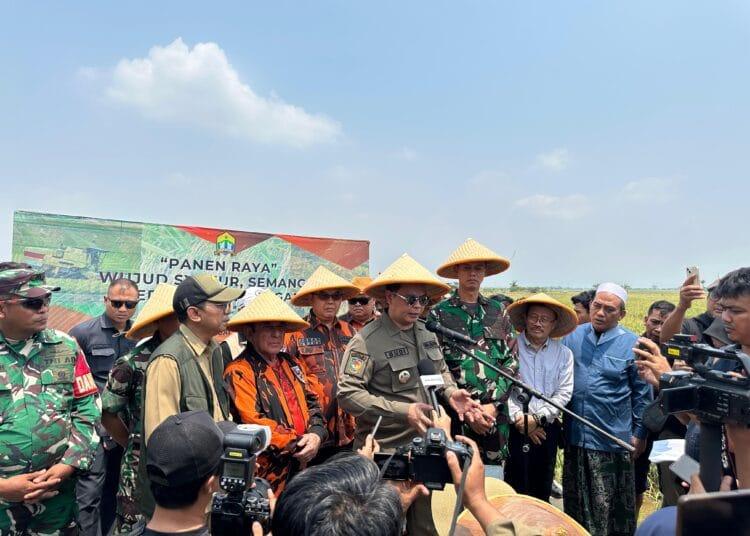 Bangun Program Ketahanan Pangan, Mpw Pemuda Pancasila Banten Panen Raya Padi 1 Bangun Program Ketahanan Pangan, Mpw Pemuda Pancasila Banten Panen Raya Padi