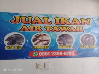 Tersedia Untuk Warga Lebak, Kunjungi Dan Di Order Agen Ikan Air Tawar Mukti Sultan
