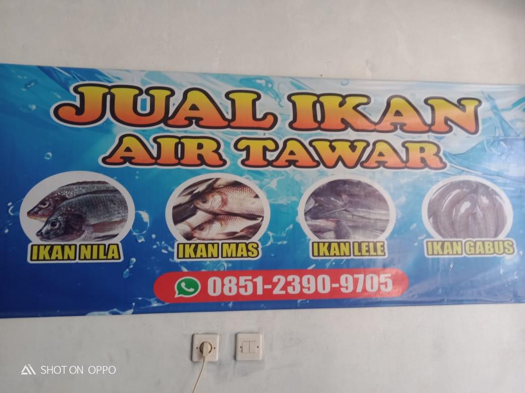 Tersedia Untuk Warga Lebak, Kunjungi Dan Di Order Agen Ikan Air Tawar Mukti Sultan 1 Tersedia Untuk Warga Lebak, Kunjungi Dan Di Order Agen Ikan Air Tawar Mukti Sultan