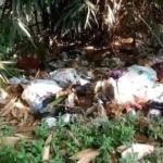 Undang Penyakit, Sampah Berserakan Di Sungai Kedung Percil Bonangan