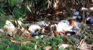 Undang Penyakit, Sampah Berserakan Di Sungai Kedung Percil Bonangan 2 Undang Penyakit, Sampah Berserakan Di Sungai Kedung Percil Bonangan