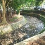 Celaka, Dlh Kabupaten Tangerang Diduga Biarkan Sampah Dan Limbah Menumpuk