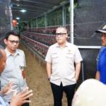 Legislator Asal Banten Perkuat Ekonomi Rakyat, Salurkan Bantuan Bibit Ayam Petelur