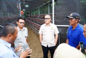 Legislator Asal Banten Perkuat Ekonomi Rakyat, Salurkan Bantuan Bibit Ayam Petelur 2 Legislator Asal Banten Perkuat Ekonomi Rakyat, Salurkan Bantuan Bibit Ayam Petelur