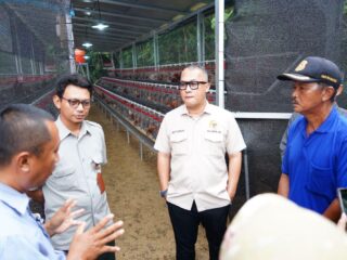 Legislator Asal Banten Perkuat Ekonomi Rakyat, Salurkan Bantuan Bibit Ayam Petelur